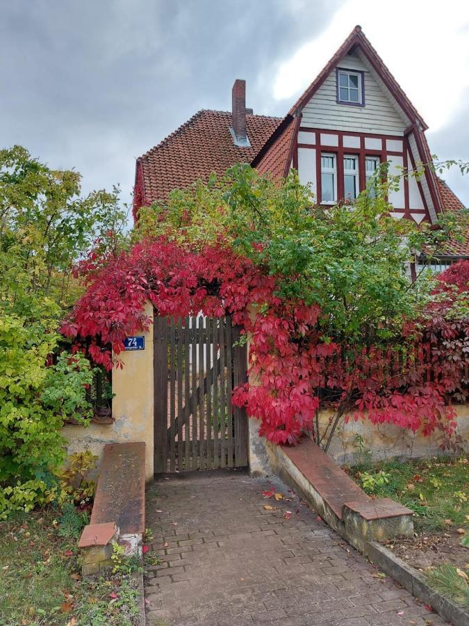 Stilvolles Ferienhaus Artdeco Wernigerode Exteriér fotografie